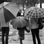 The Price of Umbrellas Go Up on Rainy Days